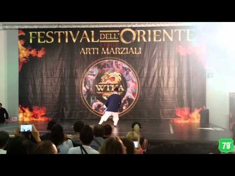 Festival dell'Oriente 2015 - Arti marziali