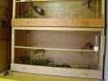 My bird room