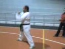 videos de punze amariilo (taekwondo)