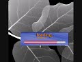 Game Maker: Racing games part 1 - shot 2