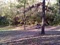 four wheeler wheelie