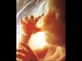 ¿beneficia a la sociedad la legalización del aborto como una forma de modernizarse y ponerse a la altura de los tiempos?