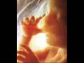 videos de La leyes pro - aborto