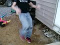 Jack Ass JR - Wood Jack Ass JR - Wood