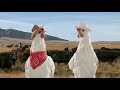 dennys-overworked-chickens.avi