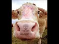 Láďa má velkou hlavu