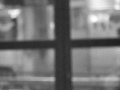 Travel Flux: A Fluxus Film