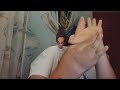 المواطن المصري كسر صيامه, شاهد ماذا حدث -Views : 3