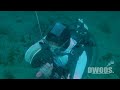 SCUBA DIVING WITH PRO DIVE AT RAGGIES ROCK - PLETTENBERG BAY