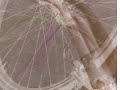 la mia ruota anteriore la mia ruota anteriore