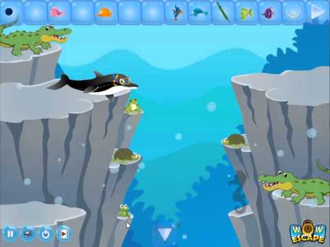 Cute Octopus Escape Video Walkthrough