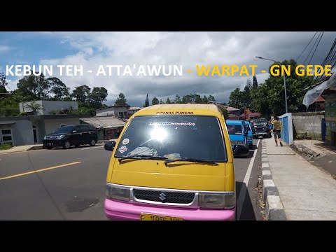 Rute Naik Angkot dari Stasiun Bogor ke Puncak & Cipanas (Part 2 of 2) Puncak - Kebun Teh & Cipanas