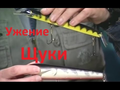 YouTube Трейлер