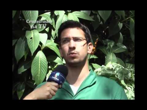 Maritacas - Ana Claudia Koury, apresentadora do programa infantil Cruzeirinho Na TV, entrevistou o veterinário Marcelo Carvalho do zoológico municipal de Sorocaba