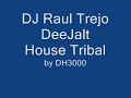 DeeJalt - House Tribal
