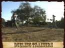 Dueling Trainers 2