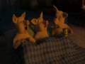videos de Shrek The Halls - Pigs in a Blanket