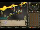 FOE vs AAO run in