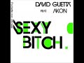david guetta ft akon - sexy bitch