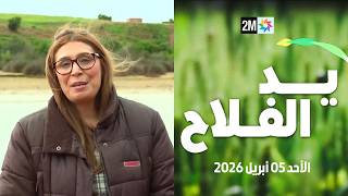 يد الفلاح : الأحد 05 أبريل 2026