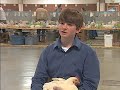Fun with Chickens - Broiler Showmanship Fun with Chickens - Broiler Showmanship