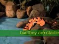 Anaconda Claymation Anaconda Claymation