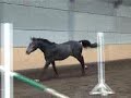 Re du saut en libert�