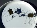 BEAM spider bots face off