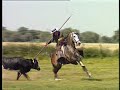 CABALLOS  Y  TOROS