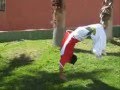 somersaults, tm3 and stunt live