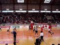 Voleibol