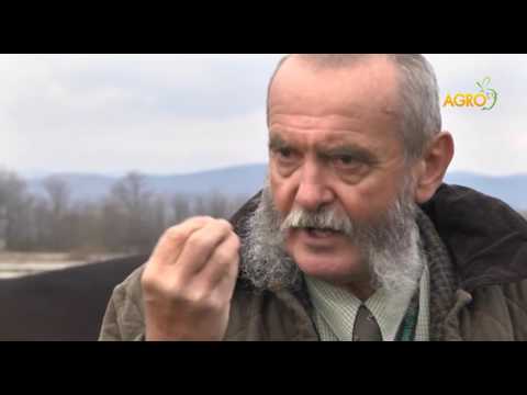 Конете на България - епизод III