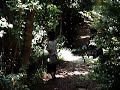 水戸黄門