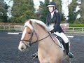 stanly dressage