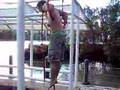 Ring Training Fun I