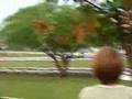 WRC-Rally-Argentina-