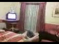 jono fails a frontflip off a bed