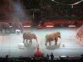 Ringling Bros Circus 2008
