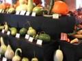 Expo Courges Agora Xivry 2006