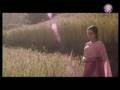  - MovieZen Video