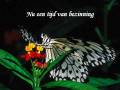 videos de Annie - powerpoint - Vlinder deel 1