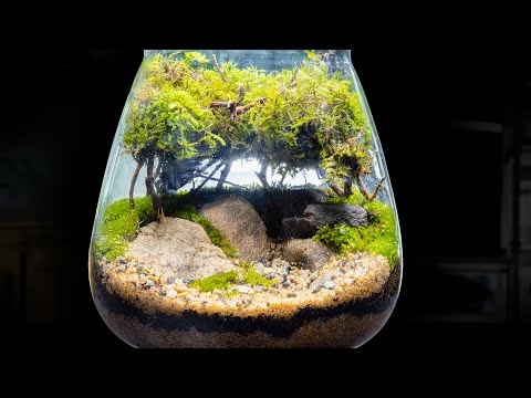 YouTube reptile video