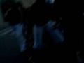 videos de Les babouins