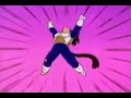 Vegeta Intergalactic Warrior