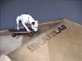 Dog stunts