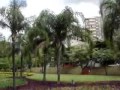Brincadeira de crian�a