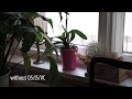 Видеообзор Sigma AF 24-105mm f/4 DG HSM Minolta A