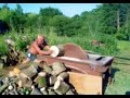 Cutting logs on a sawbench, Devon, England...