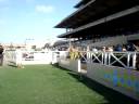 Feature Race Fanfare and First Call Del Mar Style 2008