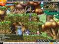 Wonder King - High level training spot - near Hellen